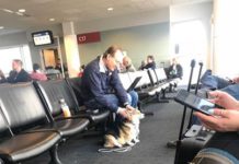 Sweet corgi comforts sad stranger at airport