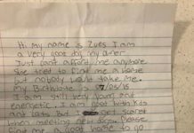 Dog Found Tied To A Tree With A Goodbye Note Finds Forever Home