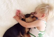 A Naptime Story with Dog and Baby