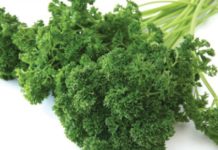 10 More “People” Foods You Should Share With Your Dog