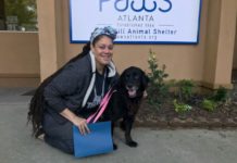 A dog this woman was missing so badly turned out to be living at a nearby shelter for months