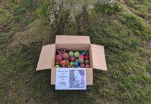 Family pays tribute to dog by sharing her toys