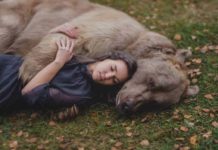 Enchanting Storybook Photographs Created With the Help of Real Forest Animals