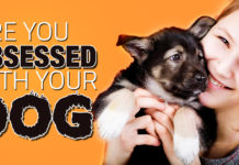 14 Signs You Are Obsessed With Your Dog (In a Good Way!)