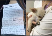 Don’t cry for the tiny puppy abandoned at the airport with the super-sad note
