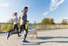 7 of the Best Dog Breeds to Go Running With