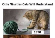 FUNNY ANIMAL PICTURE DUMP OF THE DAY 24 PICS