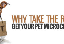 5 things you don’t know about your pet’s microchip