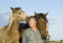 Horses remember the look on your face the last time you saw them