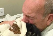 When he lost his dog, this elderly man must have thought he was alone in the world