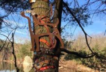 People memorialize their beloved pups with a collar tree