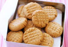 10 Healthy Homemade Dog Food Recipes and Organic Treats