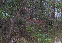 Guys Take Their Boat To Rescue Animals During Flood
