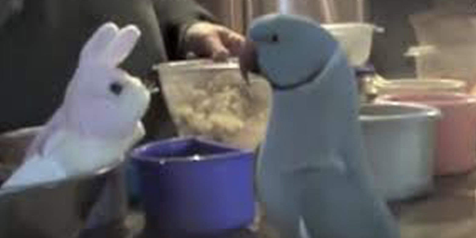 Parrot Gets Stuffed Bunny For Birthday…now Listen To How He Responds To It, Lol