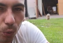 Good Boy Comes Running When Called But Is Totally Not A Dog