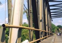 For Years The Dog Lived Skinny And She Barely Resembled A Dog… But Her Transformation Will Make Your Jaw Drop