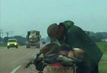 Homeless Man Drags A Cart Of Stray Dogs Across The Country
