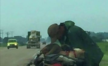 Homeless Man Drags A Cart Of Stray Dogs Across The Country
