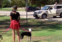 Woman Watches A War Veteran Get Out Of His Car, Reunites Him With His Two Lost Dogs