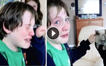 Kids Cries Tears Of Joy When Mom Brings Home Losted Cat
