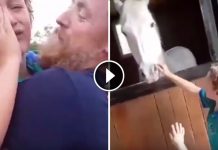 After 3 Years Of Selling Lemonade, This Boy Got The Pony He Was Saving For