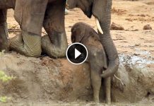 Scared Mom Do Her Best To Get Baby Out. What Happens Moments Later Leaves Me In Awe