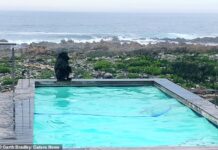 Man Looks Out Window To See Some Unexpected Guests Having A Blast In The Pool