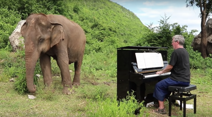 Screen-Shot-2019-04-16-at-8.44.24-AM