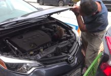 Dog Barks To Alert Of Someone Driving Around With A Kitten In Their Engine