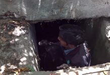 Puppy Is Pulled From Deep In The Sewer, And Mama Thanks Rescuers