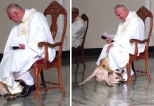 Dog Crashes Church Service, And The Priest Embraces His Inner Child