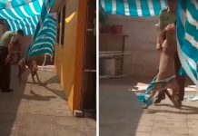 Dog Gives The Sweetest Thanks To Cop Who Cut Her Free From A Sheet