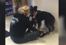 Dog Had Been On The Run For 3 Years When Finally Captured, And Mom’s Beside Herself