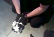 Puppy Starts Choking On Cheese, But Nearby Police Step In To Help