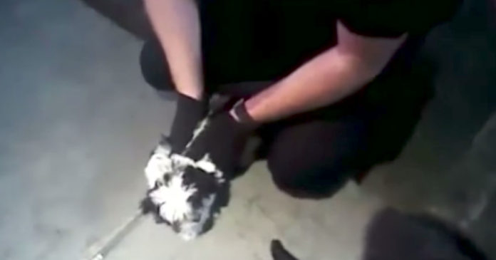 TinyTake19-07-2019-12-14-22