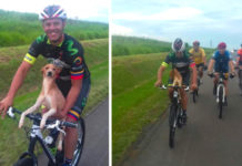 Cyclist Scoops Up Abandoned Puppy On Route, Brings Him Along For The Ride