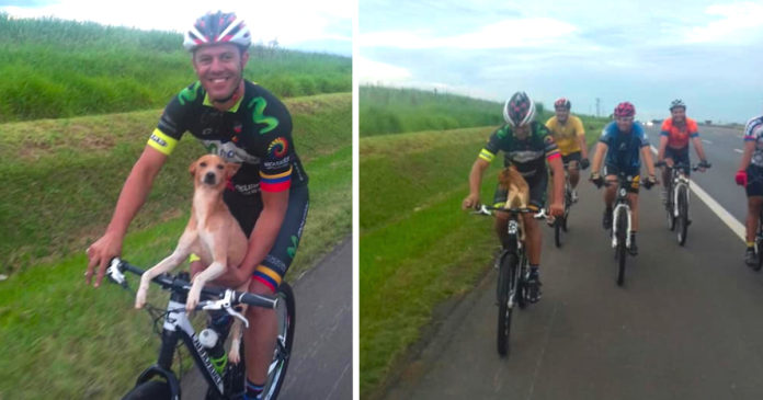 abandoned-warrior-cyclist