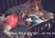 Little Girl Adorably Scolds Great Dane For Farting On Her Bed
