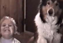 Mom Says ‘Smile Real Big And Say Cheese,’ And The Dog Flashes His Pearly Whites