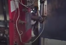 Bank Evicts Family From Home, And In The Basement They Find A Dog