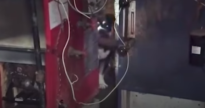 donatello-basement-rescue