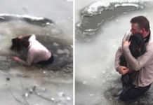 Man Jumps In Icy Water To Save A Little Dog He Didn’t Even Know