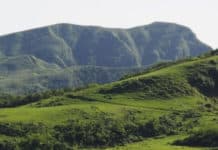 Photographer Goes On Hike And Sees Giant Sleeping Dog Looking Over The Valley