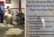 Groomer Puts Up List Explaining Why It Costs More Than You Getting Your Haircut