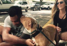 Football Player Walks Into Shelter And Asks For Their ‘Least Adoptable Dog’