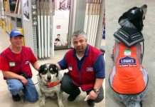No One Would Hire This Man With A Service Dog, So One Store Hired Them Both