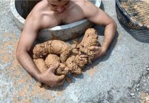 Man Hears Crying In A Well, Climbs In To Find 5 Puppies Caked In Mud