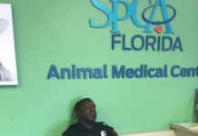 Officer Saves Puppy, Falls Asleep Waiting By Her Side After A Long Shift