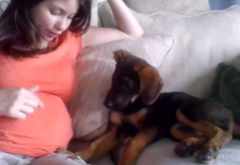 Mom Breaks The News To Her Puppy, And The Dog Adorably Approves