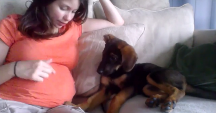 pregnant-belly-approval